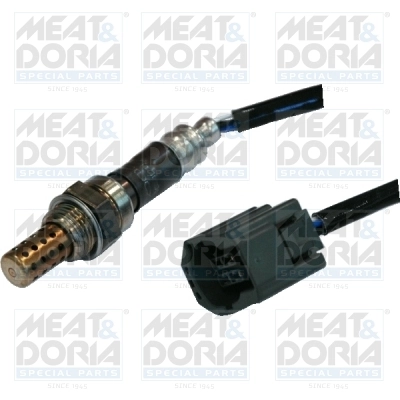 Oxygen Sensor